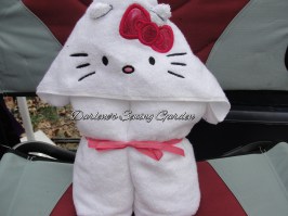 HTC_Kitty