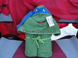 HTC_Turtle